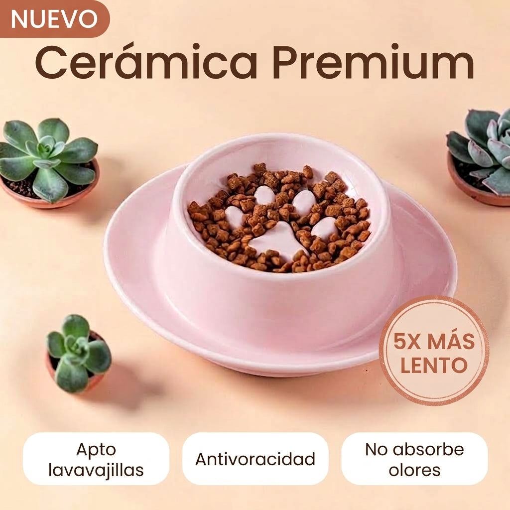 Comedero de Cerámica Antivoracidad para Perro y Gato
