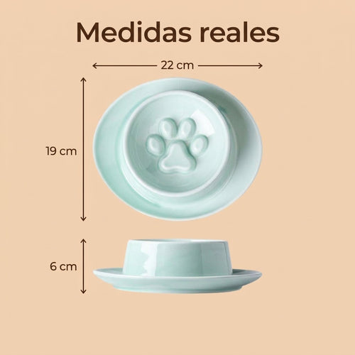 Comedero de Cerámica Antivoracidad para Perro y Gato